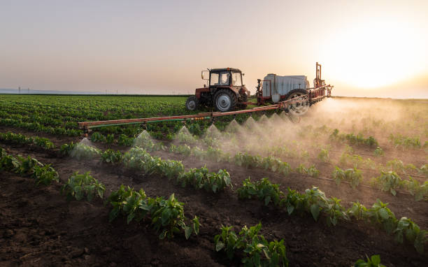 Best Commercial Pest Control Services  in Parma, ID