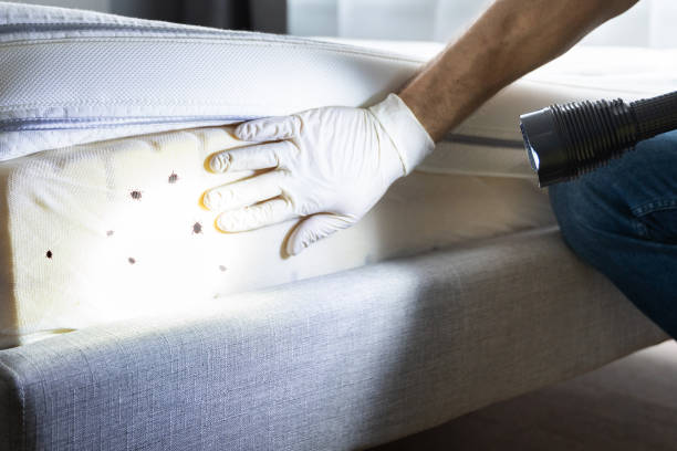 Best Best Pest Control Companies  in Parma, ID