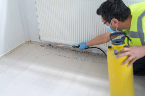 Best Mosquito Control Services  in Parma, ID